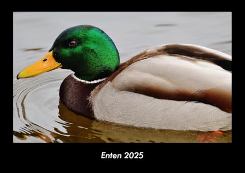 Enten 2025 Fotokalender DIN A3: Monatskalender mit Bild-Motiven von Haustieren, Bauernhof, wilden Tieren und Raubtieren Enten 2025 Fotokalender DIN A3: Monatskalender mit Bild-Motiven von Haustieren, Bauernhof, wilden Tieren und Raubtieren