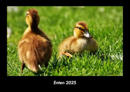 Enten 2025 Fotokalender DIN A3: Monatskalender mit Bild-Motiven von Haustieren, Bauernhof, wilden Tieren und Raubtieren Enten 2025 Fotokalender DIN A3: Monatskalender mit Bild-Motiven von Haustieren, Bauernhof, wilden Tieren und Raubtieren