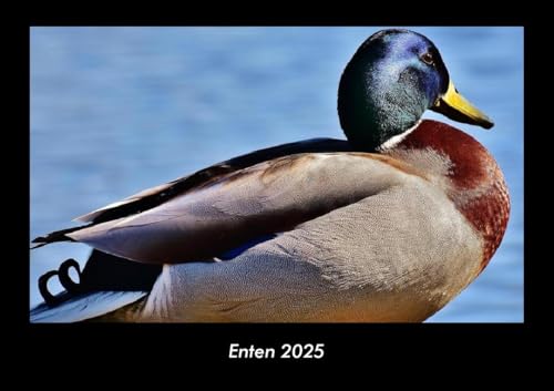 Enten 2025 Fotokalender DIN A3: Monatskalender mit Bild-Motiven von Haustieren, Bauernhof, wilden Tieren und Raubtieren Enten 2025 Fotokalender DIN A3: Monatskalender mit Bild-Motiven von Haustieren, Bauernhof, wilden Tieren und Raubtieren