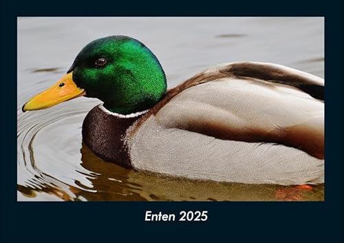 Enten 2025 Fotokalender DIN A4: Monatskalender mit Bild-Motiven von Haustieren, Bauernhof, wilden Tieren und Raubtieren Enten 2025 Fotokalender DIN A4: Monatskalender mit Bild-Motiven von Haustieren, Bauernhof, wilden Tieren und Raubtieren