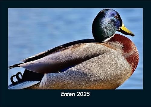 Enten 2025 Fotokalender DIN A5: Monatskalender mit Bild-Motiven von Haustieren, Bauernhof, wilden Tieren und Raubtieren Enten 2025 Fotokalender DIN A5: Monatskalender mit Bild-Motiven von Haustieren, Bauernhof, wilden Tieren und Raubtieren