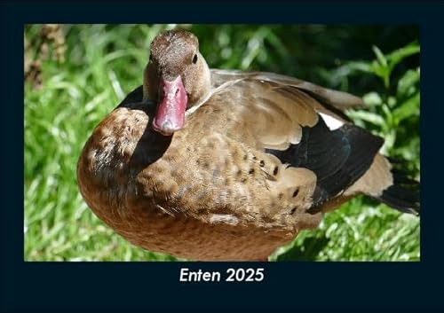 Enten 2025 Fotokalender DIN A5: Monatskalender mit Bild-Motiven von Haustieren, Bauernhof, wilden Tieren und Raubtieren Enten 2025 Fotokalender DIN A5: Monatskalender mit Bild-Motiven von Haustieren, Bauernhof, wilden Tieren und Raubtieren