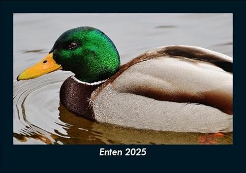 Enten 2025 Fotokalender DIN A5: Monatskalender mit Bild-Motiven von Haustieren, Bauernhof, wilden Tieren und Raubtieren Enten 2025 Fotokalender DIN A5: Monatskalender mit Bild-Motiven von Haustieren, Bauernhof, wilden Tieren und Raubtieren