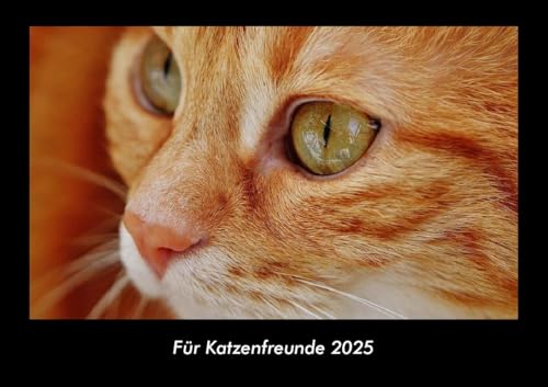 Für Katzenfreunde 2025 Fotokalender DIN A3: Monatskalender mit Bild-Motiven von Haustieren, Bauernhof, wilden Tieren und Raubtieren Für Katzenfreunde 2025 Fotokalender DIN A3: Monatskalender mit Bild-Motiven von Haustieren, Bauernhof, wilden Tieren und Raubtieren