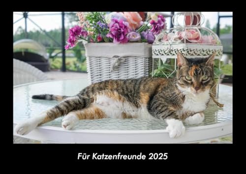 Für Katzenfreunde 2025 Fotokalender DIN A3: Monatskalender mit Bild-Motiven von Haustieren, Bauernhof, wilden Tieren und Raubtieren Für Katzenfreunde 2025 Fotokalender DIN A3: Monatskalender mit Bild-Motiven von Haustieren, Bauernhof, wilden Tieren und Raubtieren