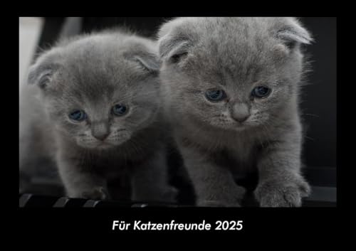 Für Katzenfreunde 2025 Fotokalender DIN A3: Monatskalender mit Bild-Motiven von Haustieren, Bauernhof, wilden Tieren und Raubtieren Für Katzenfreunde 2025 Fotokalender DIN A3: Monatskalender mit Bild-Motiven von Haustieren, Bauernhof, wilden Tieren und Raubtieren