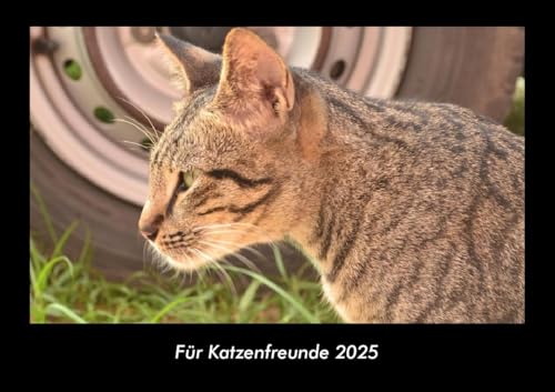 Für Katzenfreunde 2025 Fotokalender DIN A3: Monatskalender mit Bild-Motiven von Haustieren, Bauernhof, wilden Tieren und Raubtieren Für Katzenfreunde 2025 Fotokalender DIN A3: Monatskalender mit Bild-Motiven von Haustieren, Bauernhof, wilden Tieren und Raubtieren