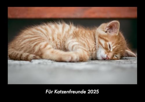 Für Katzenfreunde 2025 Fotokalender DIN A3: Monatskalender mit Bild-Motiven von Haustieren, Bauernhof, wilden Tieren und Raubtieren Für Katzenfreunde 2025 Fotokalender DIN A3: Monatskalender mit Bild-Motiven von Haustieren, Bauernhof, wilden Tieren und Raubtieren