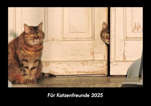 Für Katzenfreunde 2025 Fotokalender DIN A3: Monatskalender mit Bild-Motiven von Haustieren, Bauernhof, wilden Tieren und Raubtieren