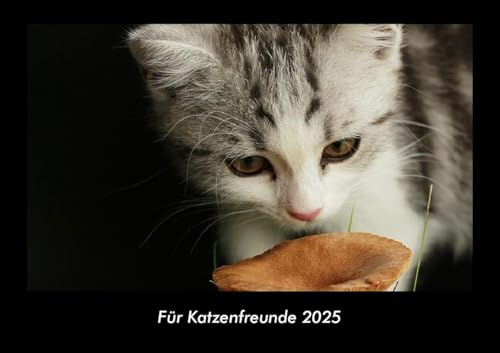 Für Katzenfreunde 2025 Fotokalender DIN A3: Monatskalender mit Bild-Motiven von Haustieren, Bauernhof, wilden Tieren und Raubtieren Für Katzenfreunde 2025 Fotokalender DIN A3: Monatskalender mit Bild-Motiven von Haustieren, Bauernhof, wilden Tieren und Raubtieren