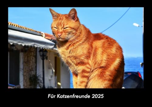 Für Katzenfreunde 2025 Fotokalender DIN A3: Monatskalender mit Bild-Motiven von Haustieren, Bauernhof, wilden Tieren und Raubtieren Für Katzenfreunde 2025 Fotokalender DIN A3: Monatskalender mit Bild-Motiven von Haustieren, Bauernhof, wilden Tieren und Raubtieren