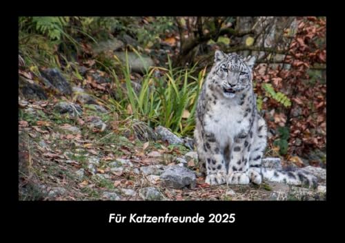 Für Katzenfreunde 2025 Fotokalender DIN A3: Monatskalender mit Bild-Motiven von Haustieren, Bauernhof, wilden Tieren und Raubtieren Für Katzenfreunde 2025 Fotokalender DIN A3: Monatskalender mit Bild-Motiven von Haustieren, Bauernhof, wilden Tieren und Raubtieren