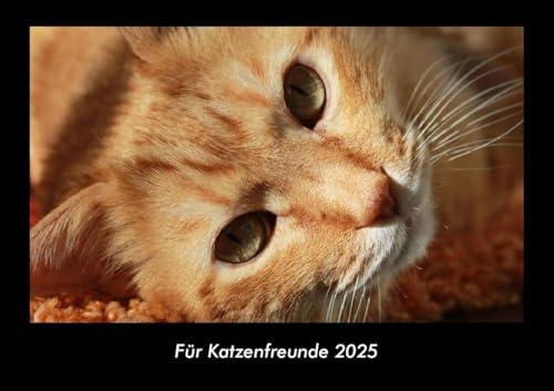 Für Katzenfreunde 2025 Fotokalender DIN A3: Monatskalender mit Bild-Motiven von Haustieren, Bauernhof, wilden Tieren und Raubtieren Für Katzenfreunde 2025 Fotokalender DIN A3: Monatskalender mit Bild-Motiven von Haustieren, Bauernhof, wilden Tieren und Raubtieren