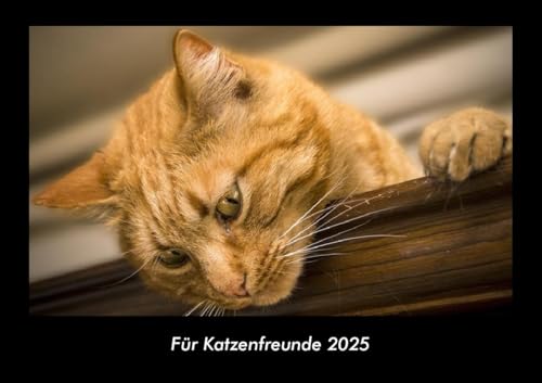 Für Katzenfreunde 2025 Fotokalender DIN A3: Monatskalender mit Bild-Motiven von Haustieren, Bauernhof, wilden Tieren und Raubtieren Für Katzenfreunde 2025 Fotokalender DIN A3: Monatskalender mit Bild-Motiven von Haustieren, Bauernhof, wilden Tieren und Raubtieren