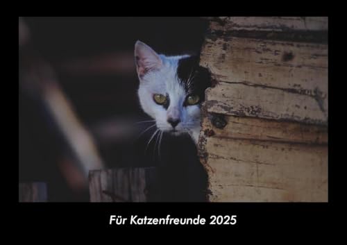 Für Katzenfreunde 2025 Fotokalender DIN A3: Monatskalender mit Bild-Motiven von Haustieren, Bauernhof, wilden Tieren und Raubtieren Für Katzenfreunde 2025 Fotokalender DIN A3: Monatskalender mit Bild-Motiven von Haustieren, Bauernhof, wilden Tieren und Raubtieren