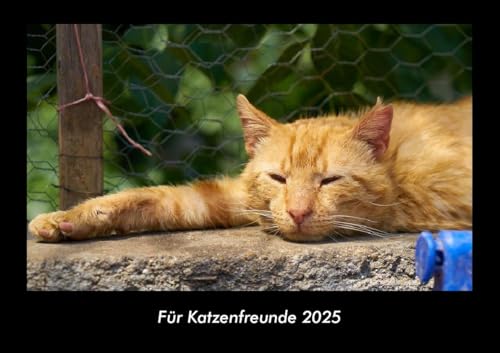 Für Katzenfreunde 2025 Fotokalender DIN A3: Monatskalender mit Bild-Motiven von Haustieren, Bauernhof, wilden Tieren und Raubtieren Für Katzenfreunde 2025 Fotokalender DIN A3: Monatskalender mit Bild-Motiven von Haustieren, Bauernhof, wilden Tieren und Raubtieren