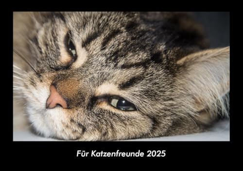 Für Katzenfreunde 2025 Fotokalender DIN A3: Monatskalender mit Bild-Motiven von Haustieren, Bauernhof, wilden Tieren und Raubtieren Für Katzenfreunde 2025 Fotokalender DIN A3: Monatskalender mit Bild-Motiven von Haustieren, Bauernhof, wilden Tieren und Raubtieren