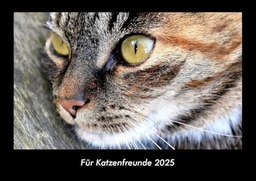 Für Katzenfreunde 2025 Fotokalender DIN A3: Monatskalender mit Bild-Motiven von Haustieren, Bauernhof, wilden Tieren und Raubtieren Für Katzenfreunde 2025 Fotokalender DIN A3: Monatskalender mit Bild-Motiven von Haustieren, Bauernhof, wilden Tieren und Raubtieren