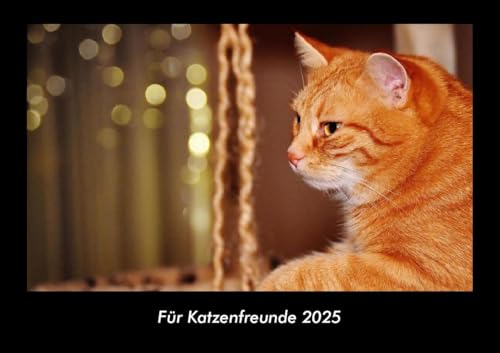 Für Katzenfreunde 2025 Fotokalender DIN A3: Monatskalender mit Bild-Motiven von Haustieren, Bauernhof, wilden Tieren und Raubtieren Für Katzenfreunde 2025 Fotokalender DIN A3: Monatskalender mit Bild-Motiven von Haustieren, Bauernhof, wilden Tieren und Raubtieren