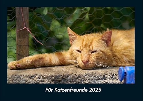Für Katzenfreunde 2025 Fotokalender DIN A4: Monatskalender mit Bild-Motiven von Haustieren, Bauernhof, wilden Tieren und Raubtieren Für Katzenfreunde 2025 Fotokalender DIN A4: Monatskalender mit Bild-Motiven von Haustieren, Bauernhof, wilden Tieren und Raubtieren