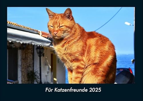 Für Katzenfreunde 2025 Fotokalender DIN A4: Monatskalender mit Bild-Motiven von Haustieren, Bauernhof, wilden Tieren und Raubtieren Für Katzenfreunde 2025 Fotokalender DIN A4: Monatskalender mit Bild-Motiven von Haustieren, Bauernhof, wilden Tieren und Raubtieren