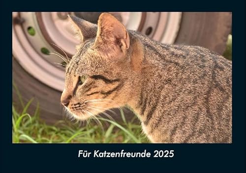 Für Katzenfreunde 2025 Fotokalender DIN A4: Monatskalender mit Bild-Motiven von Haustieren, Bauernhof, wilden Tieren und Raubtieren Für Katzenfreunde 2025 Fotokalender DIN A4: Monatskalender mit Bild-Motiven von Haustieren, Bauernhof, wilden Tieren und Raubtieren