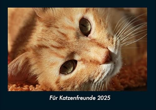 Für Katzenfreunde 2025 Fotokalender DIN A4: Monatskalender mit Bild-Motiven von Haustieren, Bauernhof, wilden Tieren und Raubtieren Für Katzenfreunde 2025 Fotokalender DIN A4: Monatskalender mit Bild-Motiven von Haustieren, Bauernhof, wilden Tieren und Raubtieren