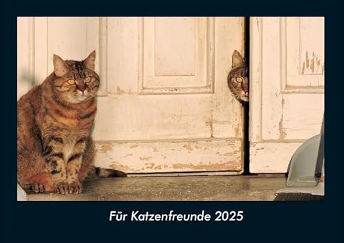 Für Katzenfreunde 2025 Fotokalender DIN A4: Monatskalender mit Bild-Motiven von Haustieren, Bauernhof, wilden Tieren und Raubtieren Für Katzenfreunde 2025 Fotokalender DIN A4: Monatskalender mit Bild-Motiven von Haustieren, Bauernhof, wilden Tieren und Raubtieren