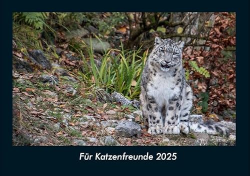 Für Katzenfreunde 2025 Fotokalender DIN A4: Monatskalender mit Bild-Motiven von Haustieren, Bauernhof, wilden Tieren und Raubtieren Für Katzenfreunde 2025 Fotokalender DIN A4: Monatskalender mit Bild-Motiven von Haustieren, Bauernhof, wilden Tieren und Raubtieren