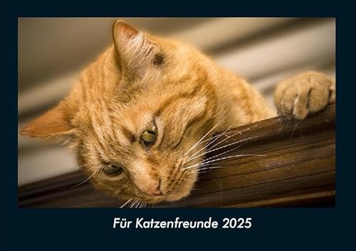 Für Katzenfreunde 2025 Fotokalender DIN A4: Monatskalender mit Bild-Motiven von Haustieren, Bauernhof, wilden Tieren und Raubtieren Für Katzenfreunde 2025 Fotokalender DIN A4: Monatskalender mit Bild-Motiven von Haustieren, Bauernhof, wilden Tieren und Raubtieren