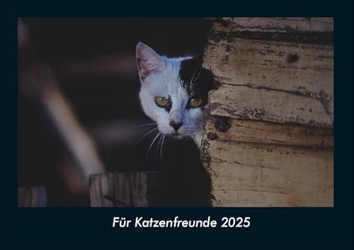Für Katzenfreunde 2025 Fotokalender DIN A4: Monatskalender mit Bild-Motiven von Haustieren, Bauernhof, wilden Tieren und Raubtieren Für Katzenfreunde 2025 Fotokalender DIN A4: Monatskalender mit Bild-Motiven von Haustieren, Bauernhof, wilden Tieren und Raubtieren