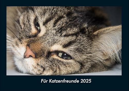 Für Katzenfreunde 2025 Fotokalender DIN A4: Monatskalender mit Bild-Motiven von Haustieren, Bauernhof, wilden Tieren und Raubtieren Für Katzenfreunde 2025 Fotokalender DIN A4: Monatskalender mit Bild-Motiven von Haustieren, Bauernhof, wilden Tieren und Raubtieren