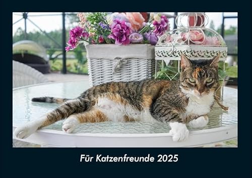 Für Katzenfreunde 2025 Fotokalender DIN A4: Monatskalender mit Bild-Motiven von Haustieren, Bauernhof, wilden Tieren und Raubtieren Für Katzenfreunde 2025 Fotokalender DIN A4: Monatskalender mit Bild-Motiven von Haustieren, Bauernhof, wilden Tieren und Raubtieren