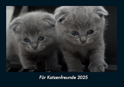Für Katzenfreunde 2025 Fotokalender DIN A4: Monatskalender mit Bild-Motiven von Haustieren, Bauernhof, wilden Tieren und Raubtieren Für Katzenfreunde 2025 Fotokalender DIN A4: Monatskalender mit Bild-Motiven von Haustieren, Bauernhof, wilden Tieren und Raubtieren