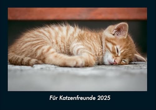 Für Katzenfreunde 2025 Fotokalender DIN A4: Monatskalender mit Bild-Motiven von Haustieren, Bauernhof, wilden Tieren und Raubtieren Für Katzenfreunde 2025 Fotokalender DIN A4: Monatskalender mit Bild-Motiven von Haustieren, Bauernhof, wilden Tieren und Raubtieren