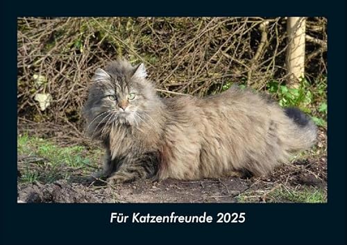 Für Katzenfreunde 2025 Fotokalender DIN A4: Monatskalender mit Bild-Motiven von Haustieren, Bauernhof, wilden Tieren und Raubtieren Für Katzenfreunde 2025 Fotokalender DIN A4: Monatskalender mit Bild-Motiven von Haustieren, Bauernhof, wilden Tieren und Raubtieren