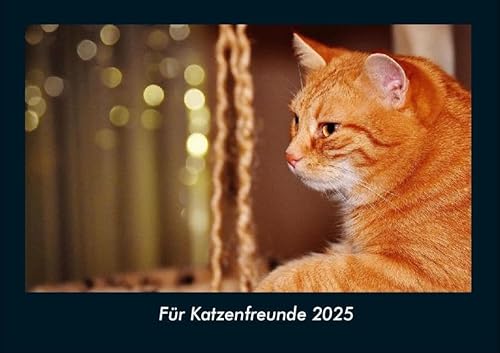 Für Katzenfreunde 2025 Fotokalender DIN A4: Monatskalender mit Bild-Motiven von Haustieren, Bauernhof, wilden Tieren und Raubtieren Für Katzenfreunde 2025 Fotokalender DIN A4: Monatskalender mit Bild-Motiven von Haustieren, Bauernhof, wilden Tieren und Raubtieren