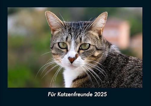 Für Katzenfreunde 2025 Fotokalender DIN A4: Monatskalender mit Bild-Motiven von Haustieren, Bauernhof, wilden Tieren und Raubtieren Für Katzenfreunde 2025 Fotokalender DIN A4: Monatskalender mit Bild-Motiven von Haustieren, Bauernhof, wilden Tieren und Raubtieren