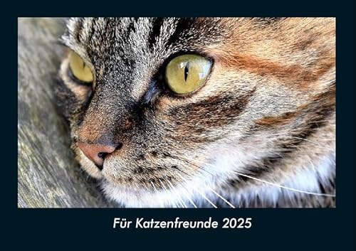 Für Katzenfreunde 2025 Fotokalender DIN A4: Monatskalender mit Bild-Motiven von Haustieren, Bauernhof, wilden Tieren und Raubtieren Für Katzenfreunde 2025 Fotokalender DIN A4: Monatskalender mit Bild-Motiven von Haustieren, Bauernhof, wilden Tieren und Raubtieren