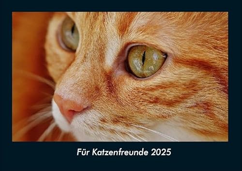 Für Katzenfreunde 2025 Fotokalender DIN A4: Monatskalender mit Bild-Motiven von Haustieren, Bauernhof, wilden Tieren und Raubtieren Für Katzenfreunde 2025 Fotokalender DIN A4: Monatskalender mit Bild-Motiven von Haustieren, Bauernhof, wilden Tieren und Raubtieren