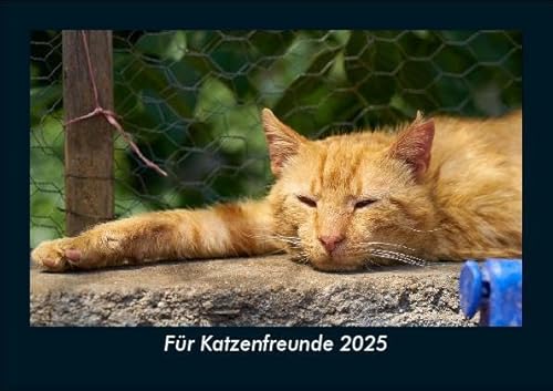 Für Katzenfreunde 2025 Fotokalender DIN A5: Monatskalender mit Bild-Motiven von Haustieren, Bauernhof, wilden Tieren und Raubtieren Für Katzenfreunde 2025 Fotokalender DIN A5: Monatskalender mit Bild-Motiven von Haustieren, Bauernhof, wilden Tieren und Raubtieren