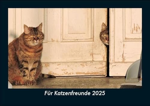 Für Katzenfreunde 2025 Fotokalender DIN A5: Monatskalender mit Bild-Motiven von Haustieren, Bauernhof, wilden Tieren und Raubtieren Für Katzenfreunde 2025 Fotokalender DIN A5: Monatskalender mit Bild-Motiven von Haustieren, Bauernhof, wilden Tieren und Raubtieren