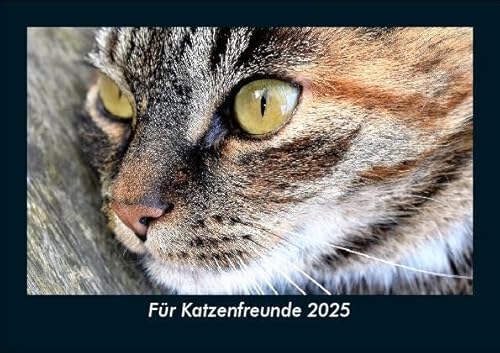 Für Katzenfreunde 2025 Fotokalender DIN A5: Monatskalender mit Bild-Motiven von Haustieren, Bauernhof, wilden Tieren und Raubtieren Für Katzenfreunde 2025 Fotokalender DIN A5: Monatskalender mit Bild-Motiven von Haustieren, Bauernhof, wilden Tieren und Raubtieren