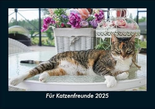 Für Katzenfreunde 2025 Fotokalender DIN A5: Monatskalender mit Bild-Motiven von Haustieren, Bauernhof, wilden Tieren und Raubtieren Für Katzenfreunde 2025 Fotokalender DIN A5: Monatskalender mit Bild-Motiven von Haustieren, Bauernhof, wilden Tieren und Raubtieren