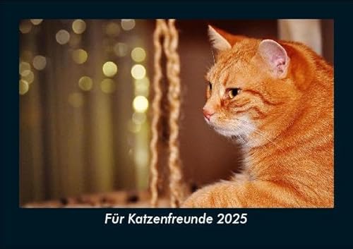 Für Katzenfreunde 2025 Fotokalender DIN A5: Monatskalender mit Bild-Motiven von Haustieren, Bauernhof, wilden Tieren und Raubtieren Für Katzenfreunde 2025 Fotokalender DIN A5: Monatskalender mit Bild-Motiven von Haustieren, Bauernhof, wilden Tieren und Raubtieren