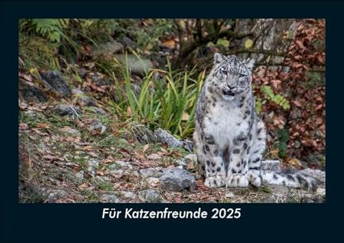Für Katzenfreunde 2025 Fotokalender DIN A5: Monatskalender mit Bild-Motiven von Haustieren, Bauernhof, wilden Tieren und Raubtieren Für Katzenfreunde 2025 Fotokalender DIN A5: Monatskalender mit Bild-Motiven von Haustieren, Bauernhof, wilden Tieren und Raubtieren