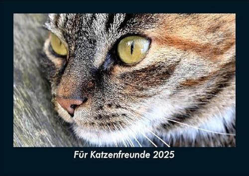 Für Katzenfreunde 2025 Fotokalender DIN A5: Monatskalender mit Bild-Motiven von Haustieren, Bauernhof, wilden Tieren und Raubtieren Für Katzenfreunde 2025 Fotokalender DIN A5: Monatskalender mit Bild-Motiven von Haustieren, Bauernhof, wilden Tieren und Raubtieren