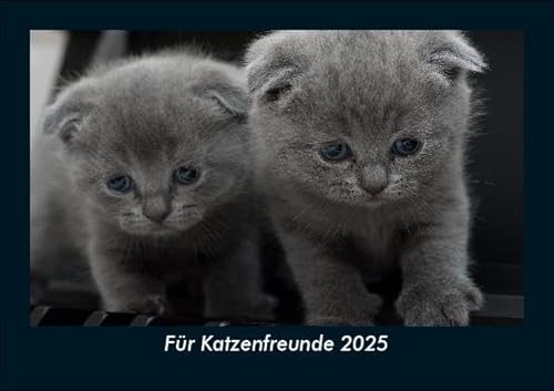 Für Katzenfreunde 2025 Fotokalender DIN A5: Monatskalender mit Bild-Motiven von Haustieren, Bauernhof, wilden Tieren und Raubtieren Für Katzenfreunde 2025 Fotokalender DIN A5: Monatskalender mit Bild-Motiven von Haustieren, Bauernhof, wilden Tieren und Raubtieren