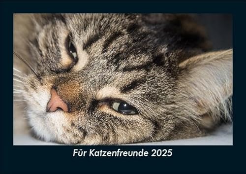 Für Katzenfreunde 2025 Fotokalender DIN A5: Monatskalender mit Bild-Motiven von Haustieren, Bauernhof, wilden Tieren und Raubtieren Für Katzenfreunde 2025 Fotokalender DIN A5: Monatskalender mit Bild-Motiven von Haustieren, Bauernhof, wilden Tieren und Raubtieren
