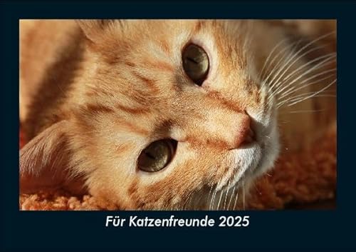 Für Katzenfreunde 2025 Fotokalender DIN A5: Monatskalender mit Bild-Motiven von Haustieren, Bauernhof, wilden Tieren und Raubtieren Für Katzenfreunde 2025 Fotokalender DIN A5: Monatskalender mit Bild-Motiven von Haustieren, Bauernhof, wilden Tieren und Raubtieren